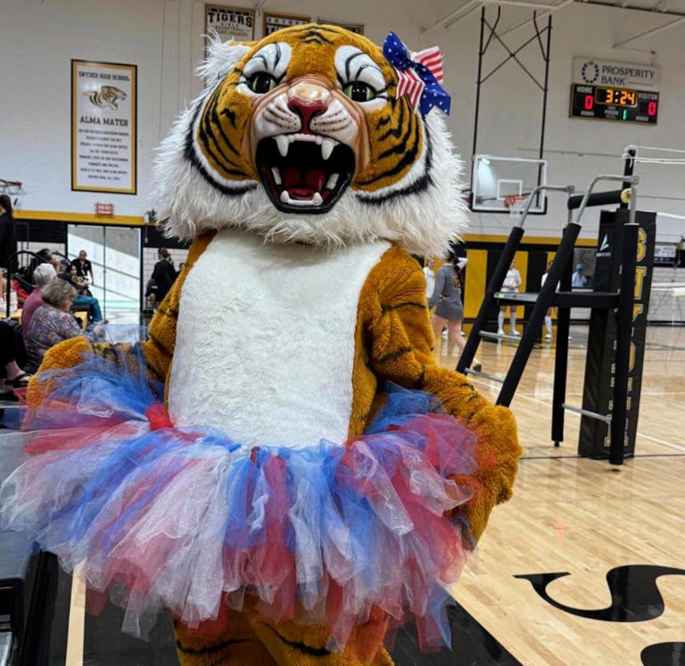 Controversy stirs over 'gender' of Snyder ISD mascot