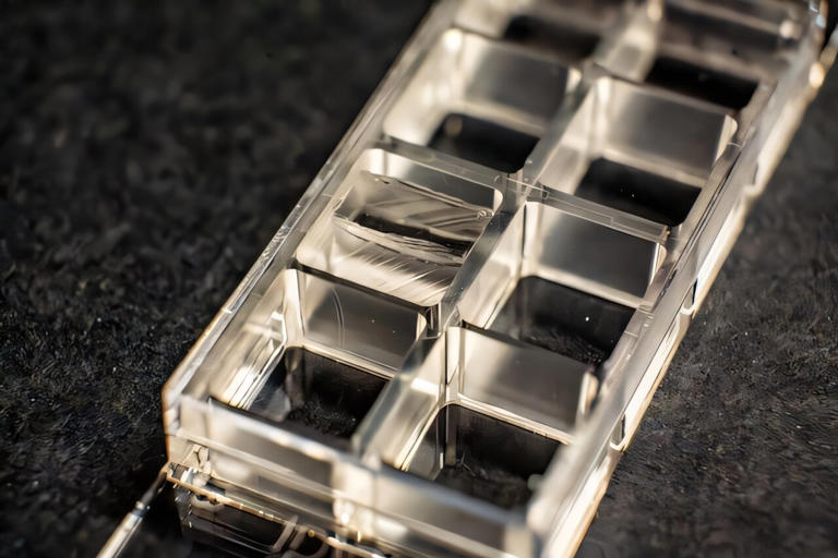 3D-printed inserts bring single-objective light sheet microscopy to ...