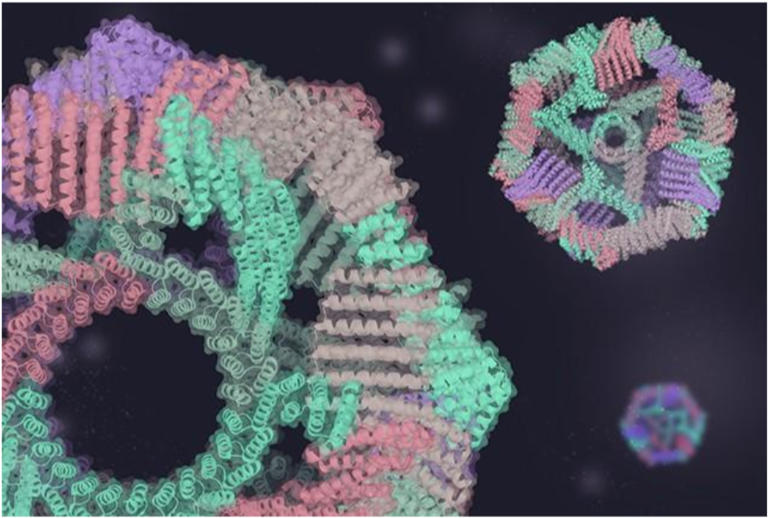 UW protein institute led by Nobel winner unveils its first AI model co ...