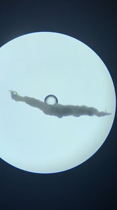 Amazing objects seen under a microscope