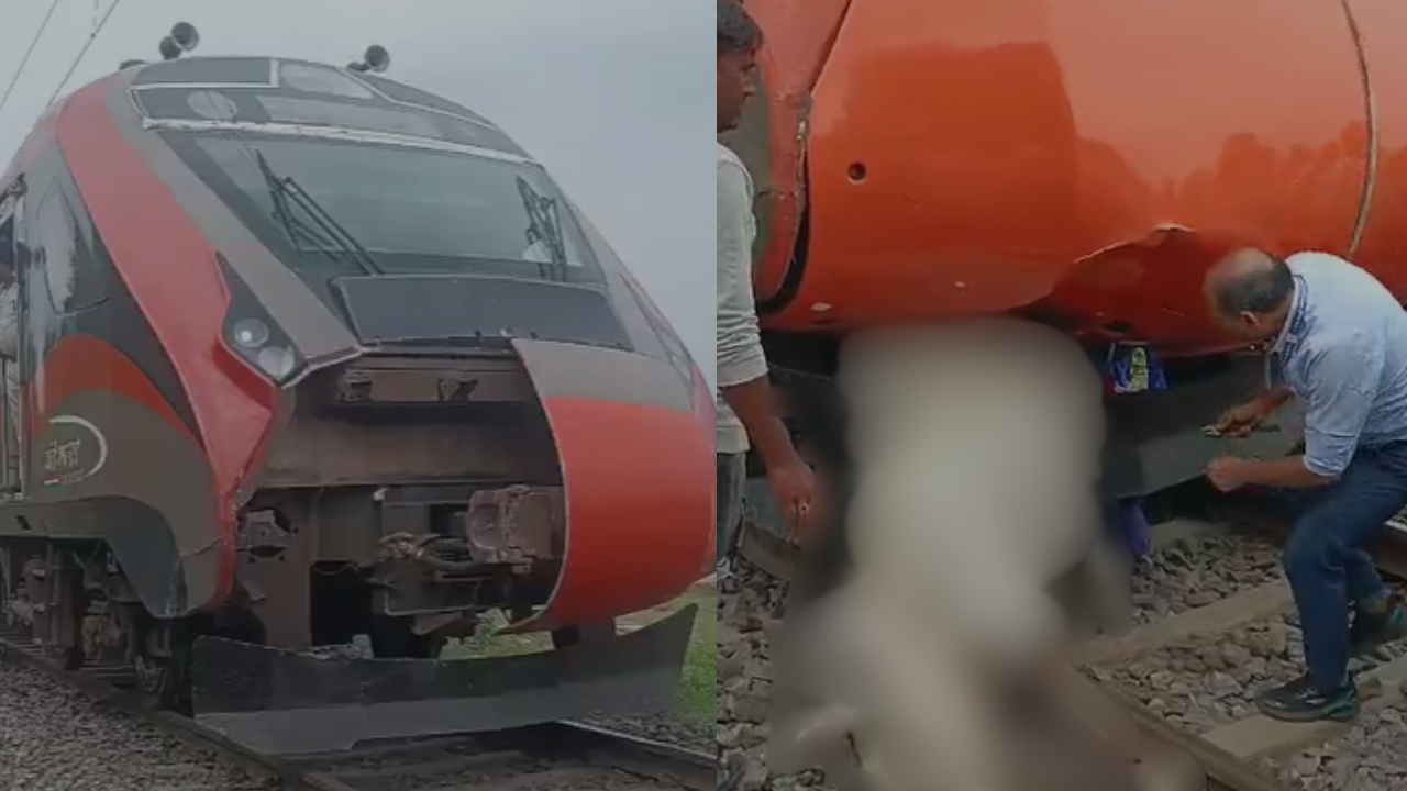 Lucknow Vande Bharat: Cow run over near BKT, train delayed by 35 minutes