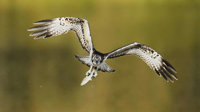 Das sind die 12 schönsten NRW-Naturfotos im Jahr 2026