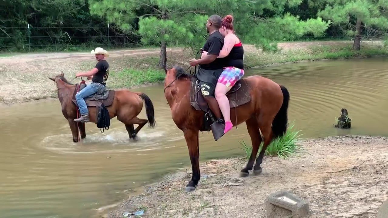 Horse unexpectedly sends riders straight into a stream