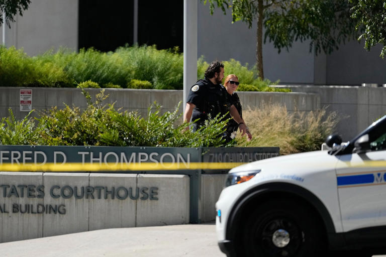 Man armed with gun, knife shot inside federal court by officers: police