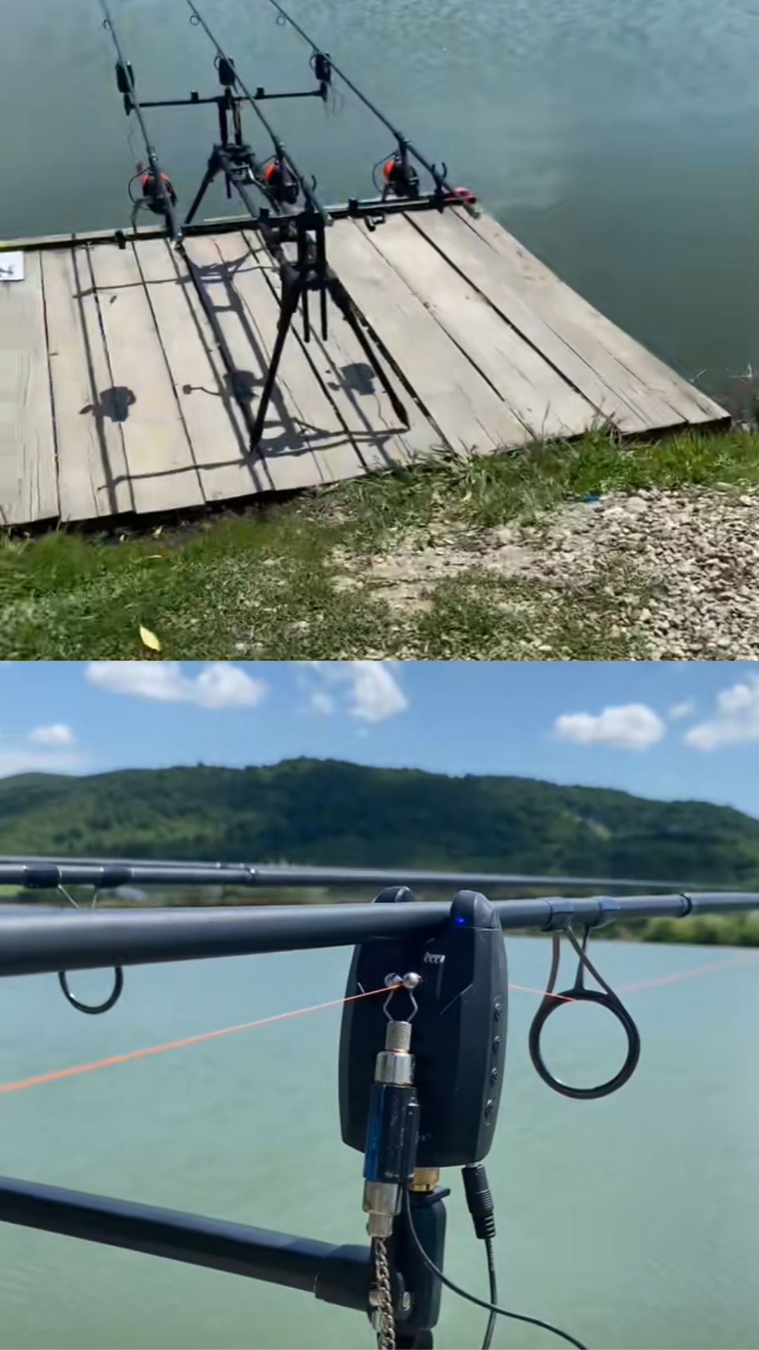 The carp fishing rig that could improve your catch rate