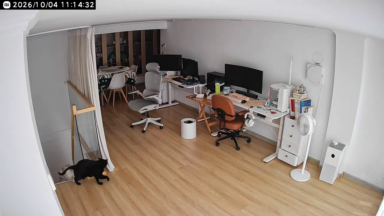 Two cats fight in computer room while another watches