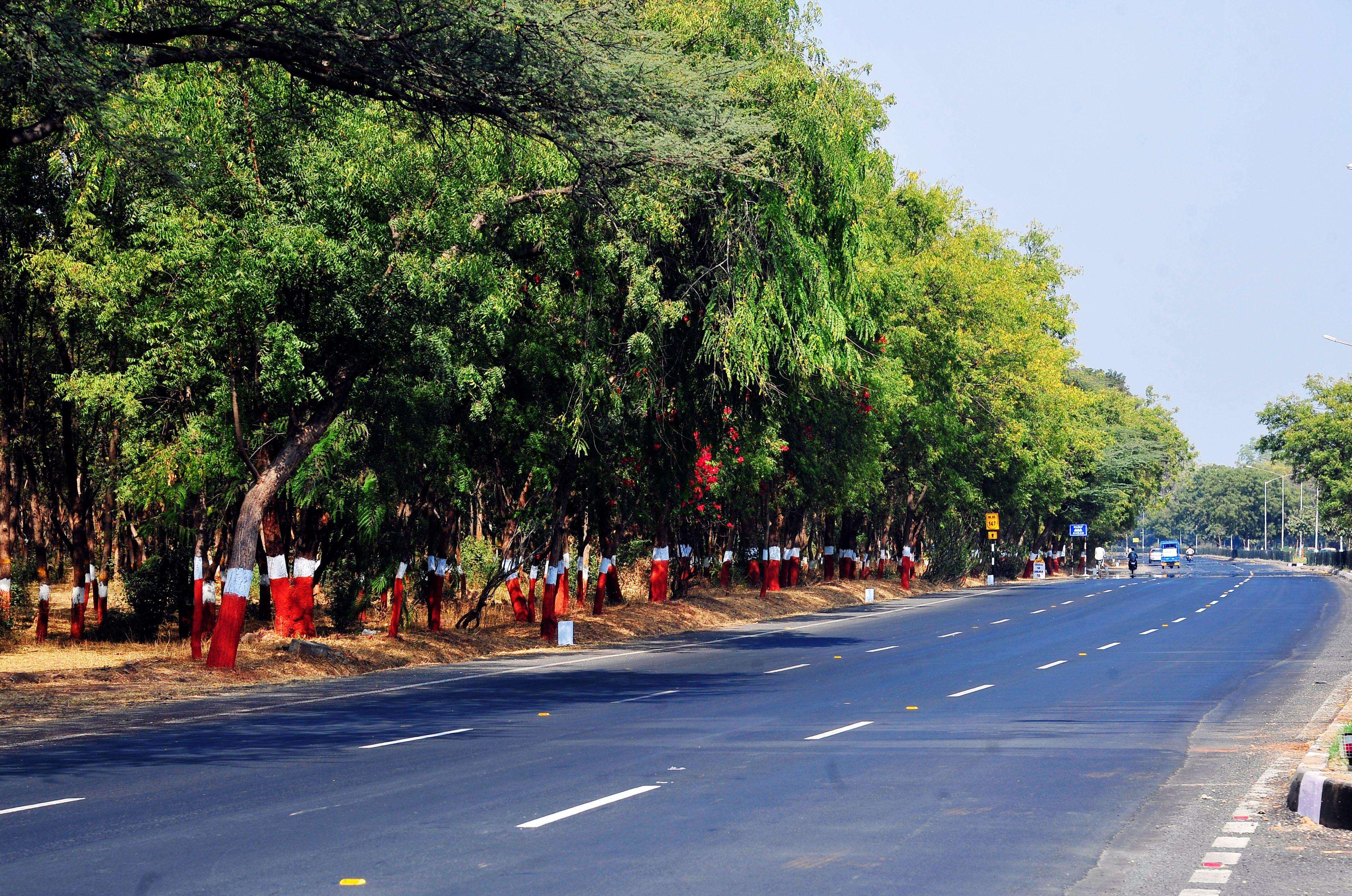BJP releases manifesto for Gandhinagar civic election; promises AI labs ...