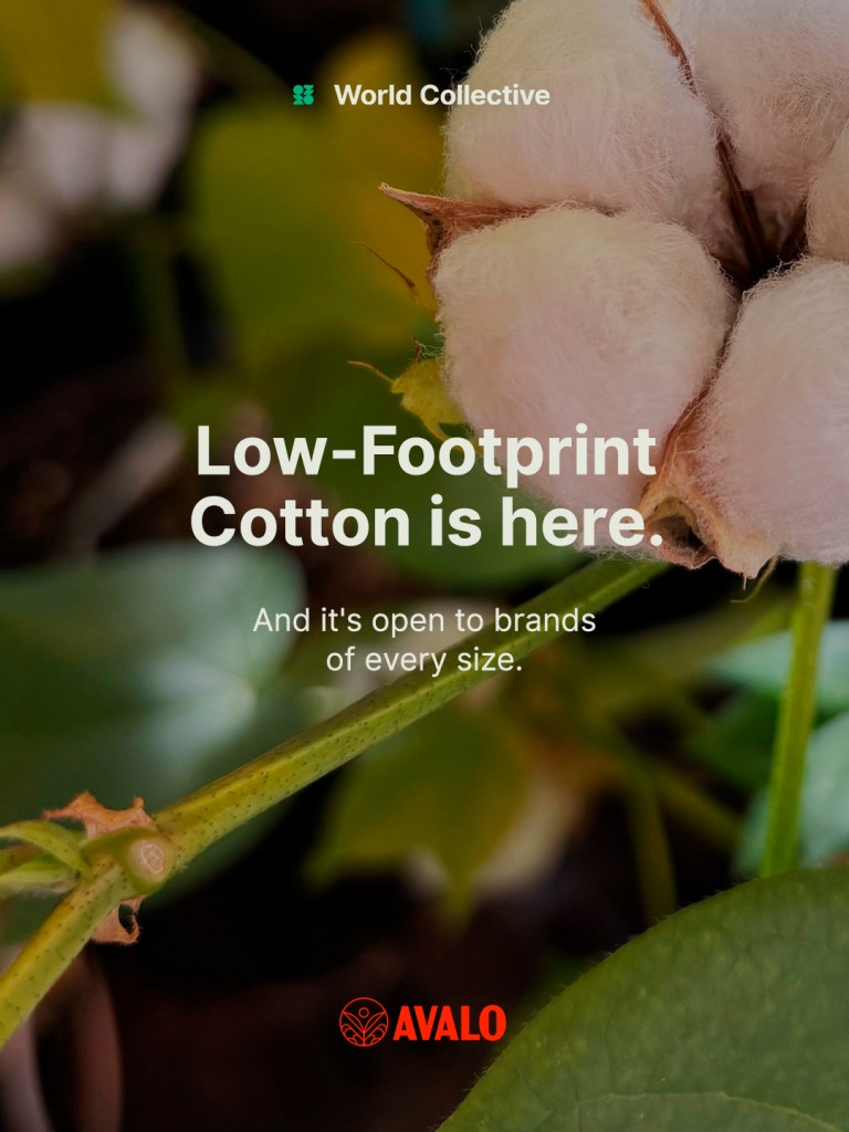 Avalo and World Collective launch demand pooling campaign