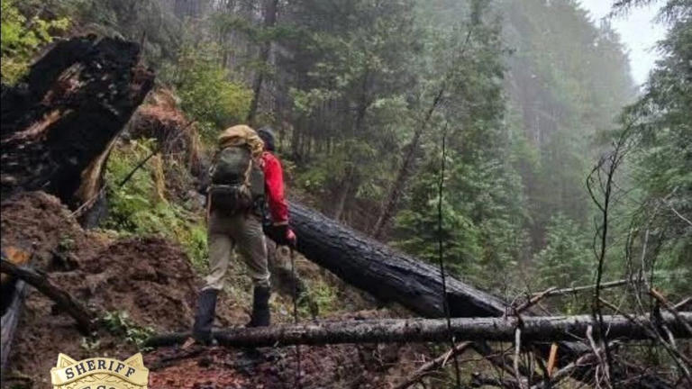 Lane County seeks volunteers for search and rescue team