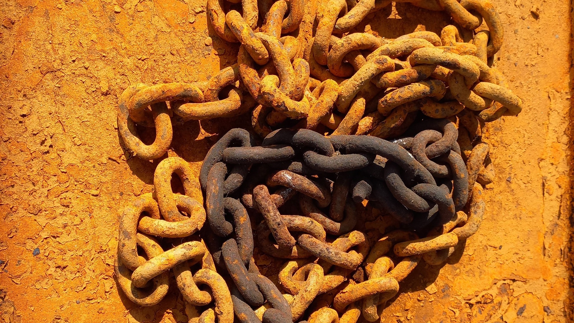 20 laws from ancient Rome that sound insane today