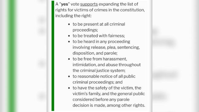 Tennessee voters to weigh in on crime victims' rights amendment in ...