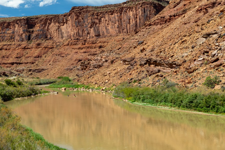 Zebra mussels found in Utah’s Colorado River threaten ecosystem