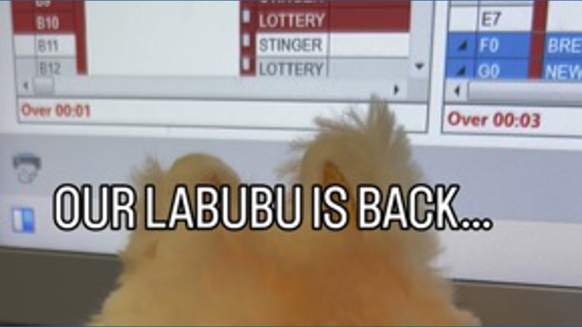 Our Labubu is back in the studio!