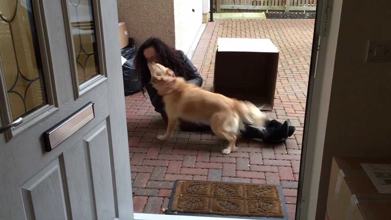 Dog gets the sweetest unexpected surprise