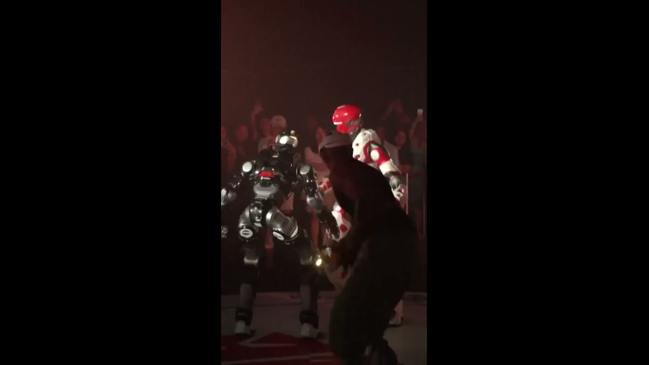 Humanoid robots throw down in fighting tournament