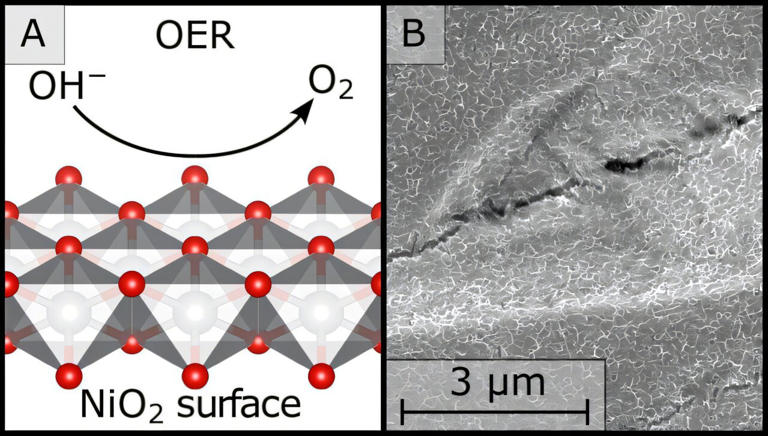 Chemists uncover the true active surface of nickel catalysts