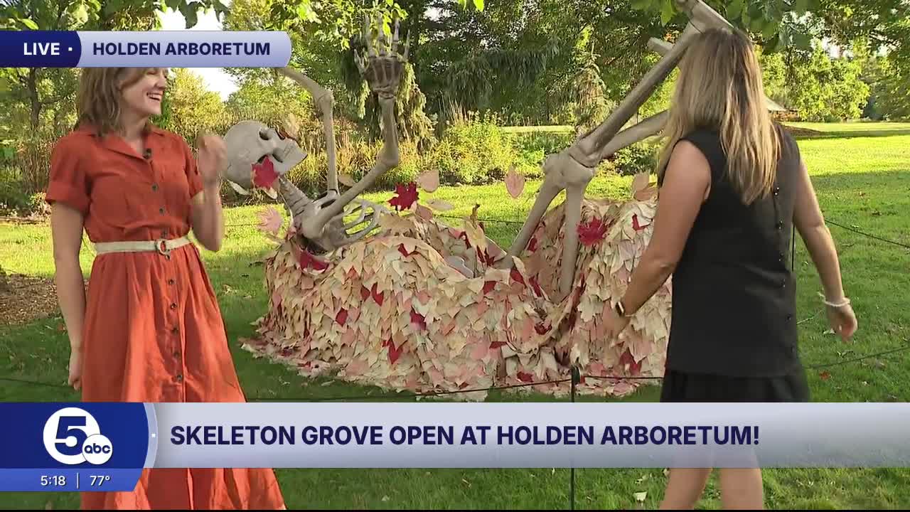 Skeleton Grove INTV