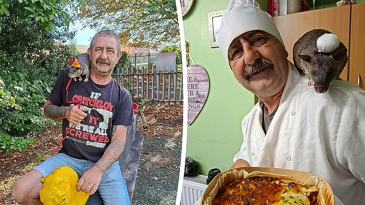 Real-life Ratatouille: man dresses his two-foot rat as a chef to cook ...