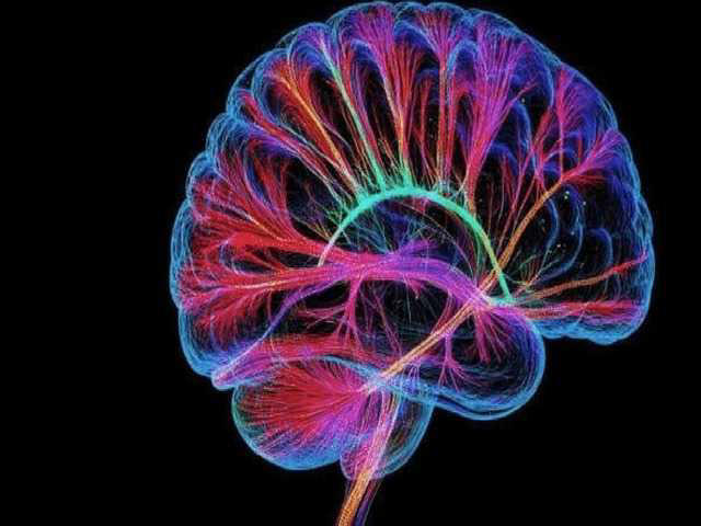 Brain's 'default mode network' discovered as real trigger in ...