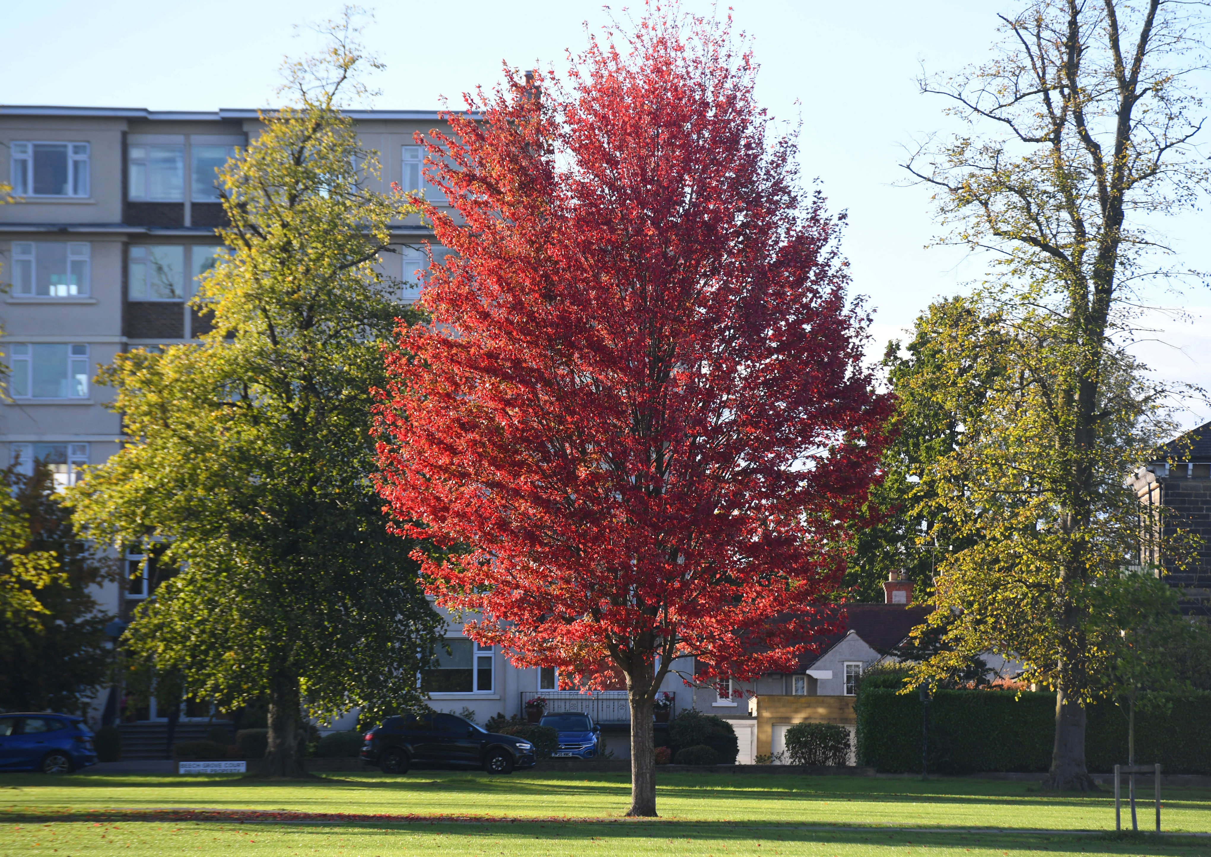 13 stunning photos as the autumn season takes hold across Leeds