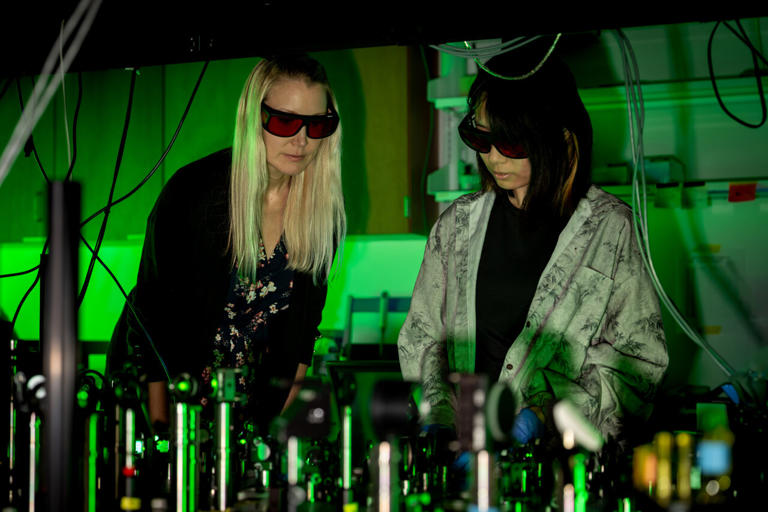3D-printed inserts bring single-objective light sheet microscopy to ...