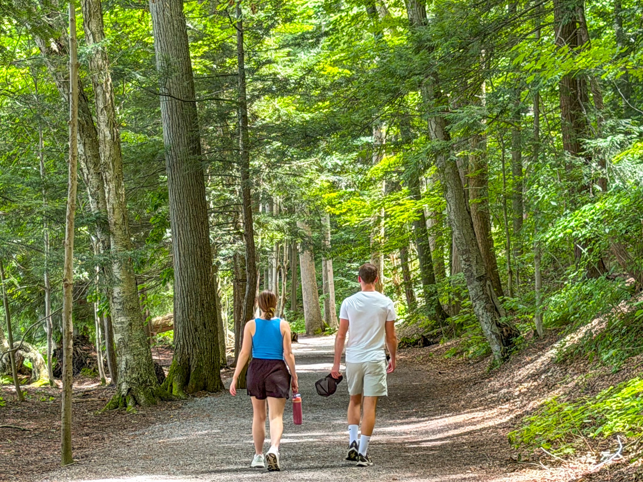 AI is joining human conversations on 'forest walks'