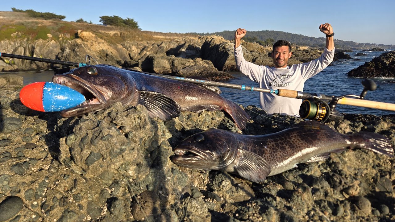 Camouflaged fish limit from shore - how I finally did it!
