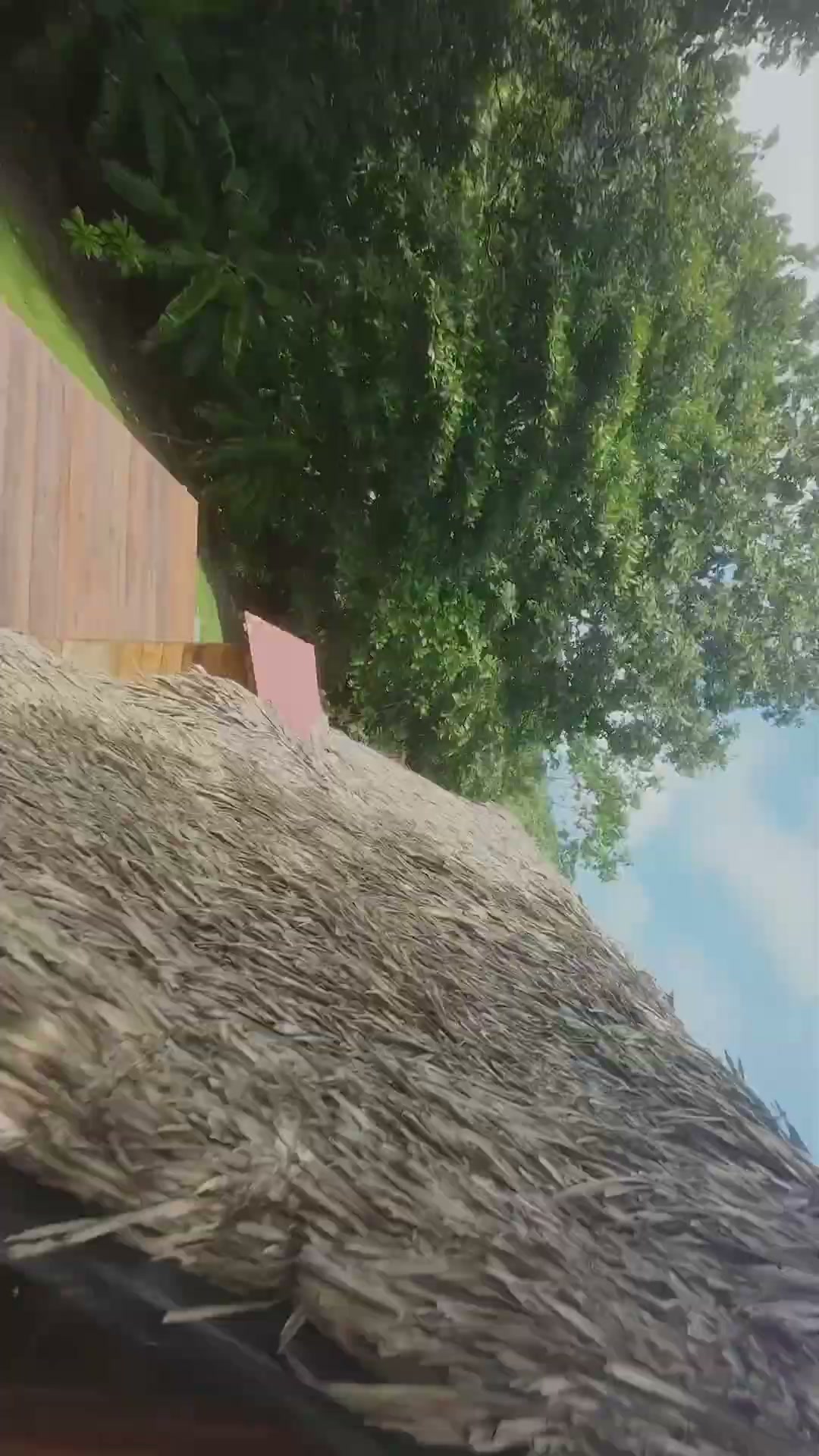 Un recorrido FPV entre vegetación desde una hamaca