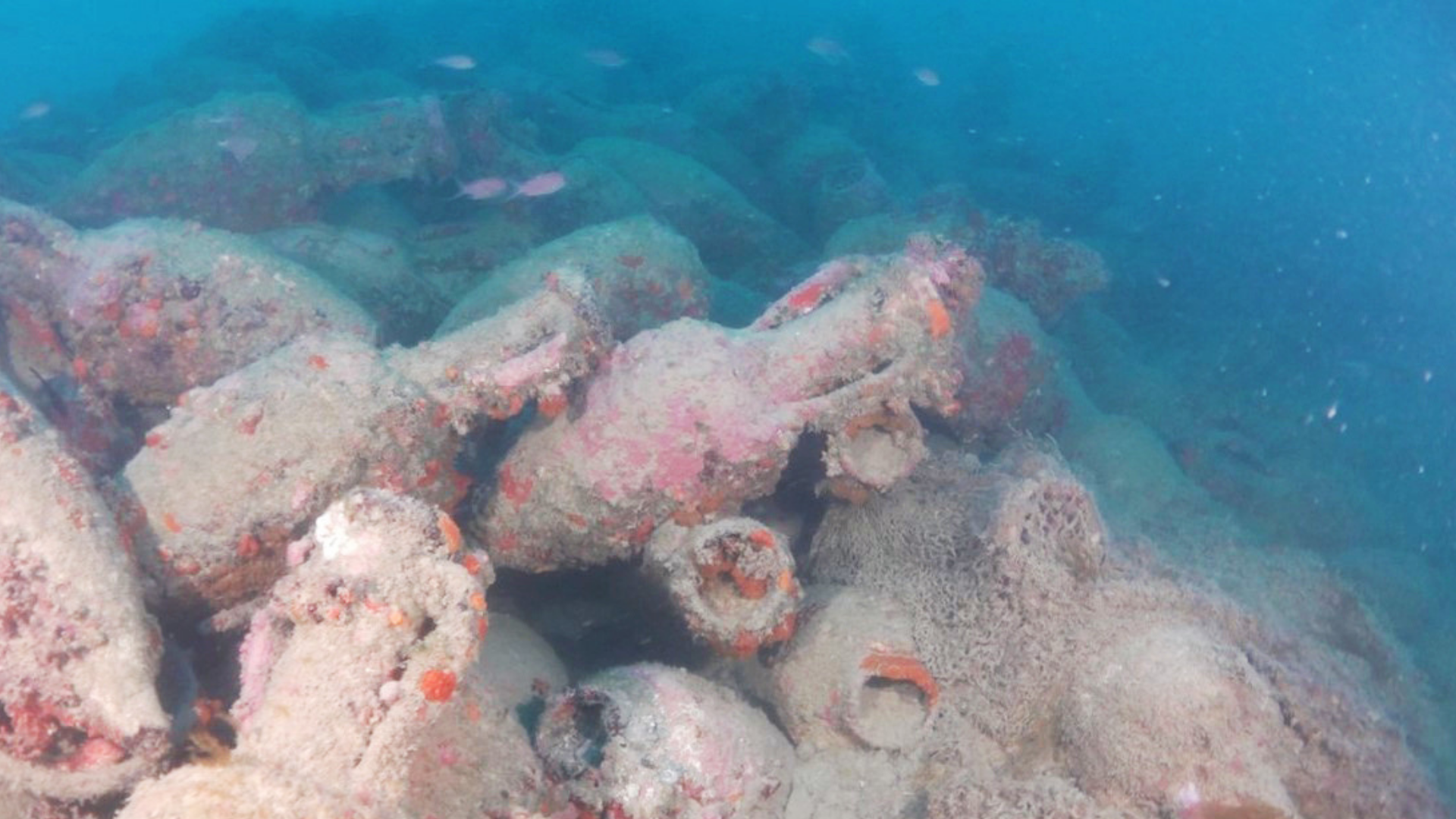In Sicily, researchers bring an ancient Roman treasure lost for over ...