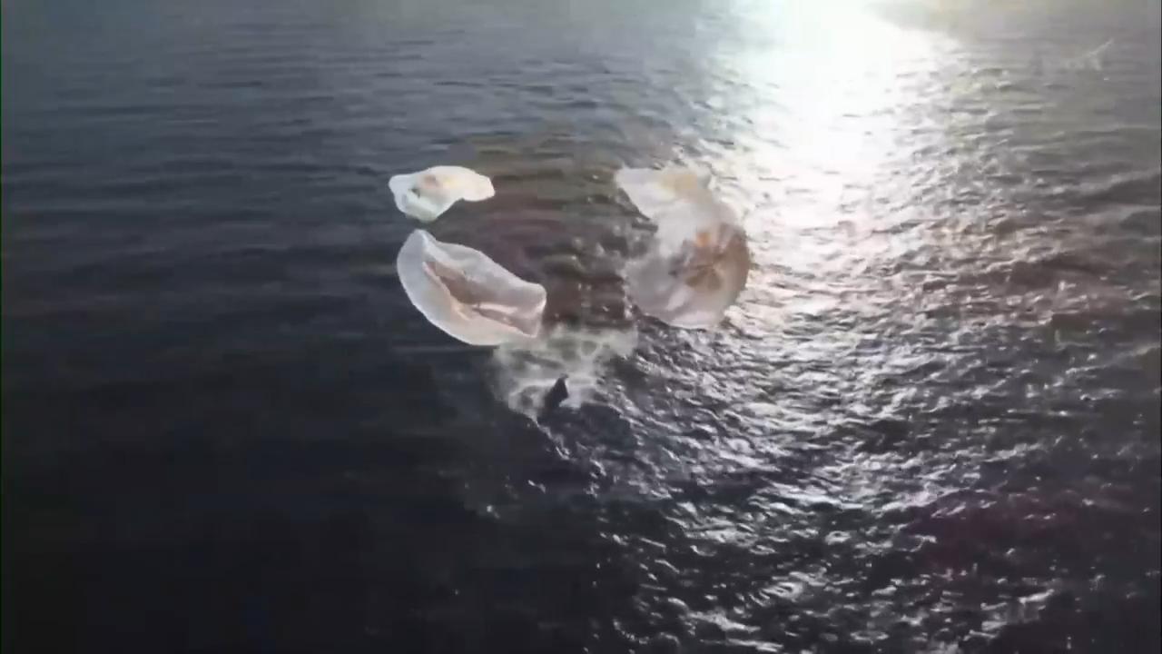 Four astronauts return to Earth after eight months in space