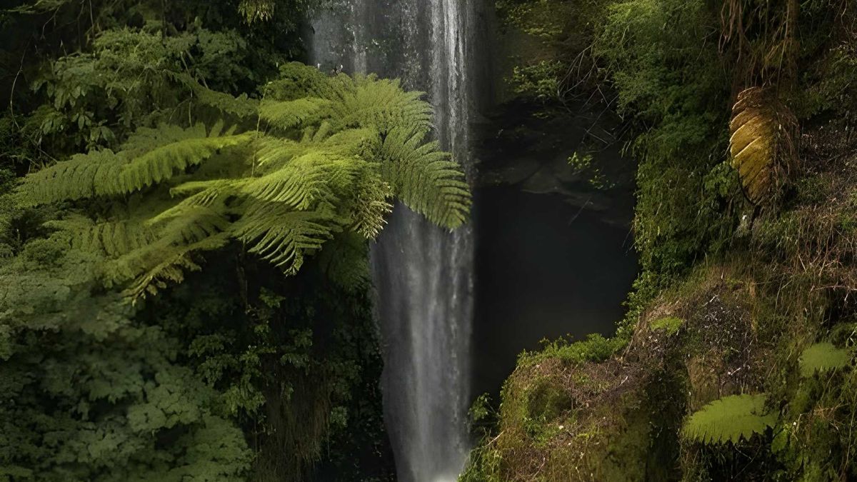 Goa Raja Waterfall, hidden gem Bali yang wajib dikunjungi