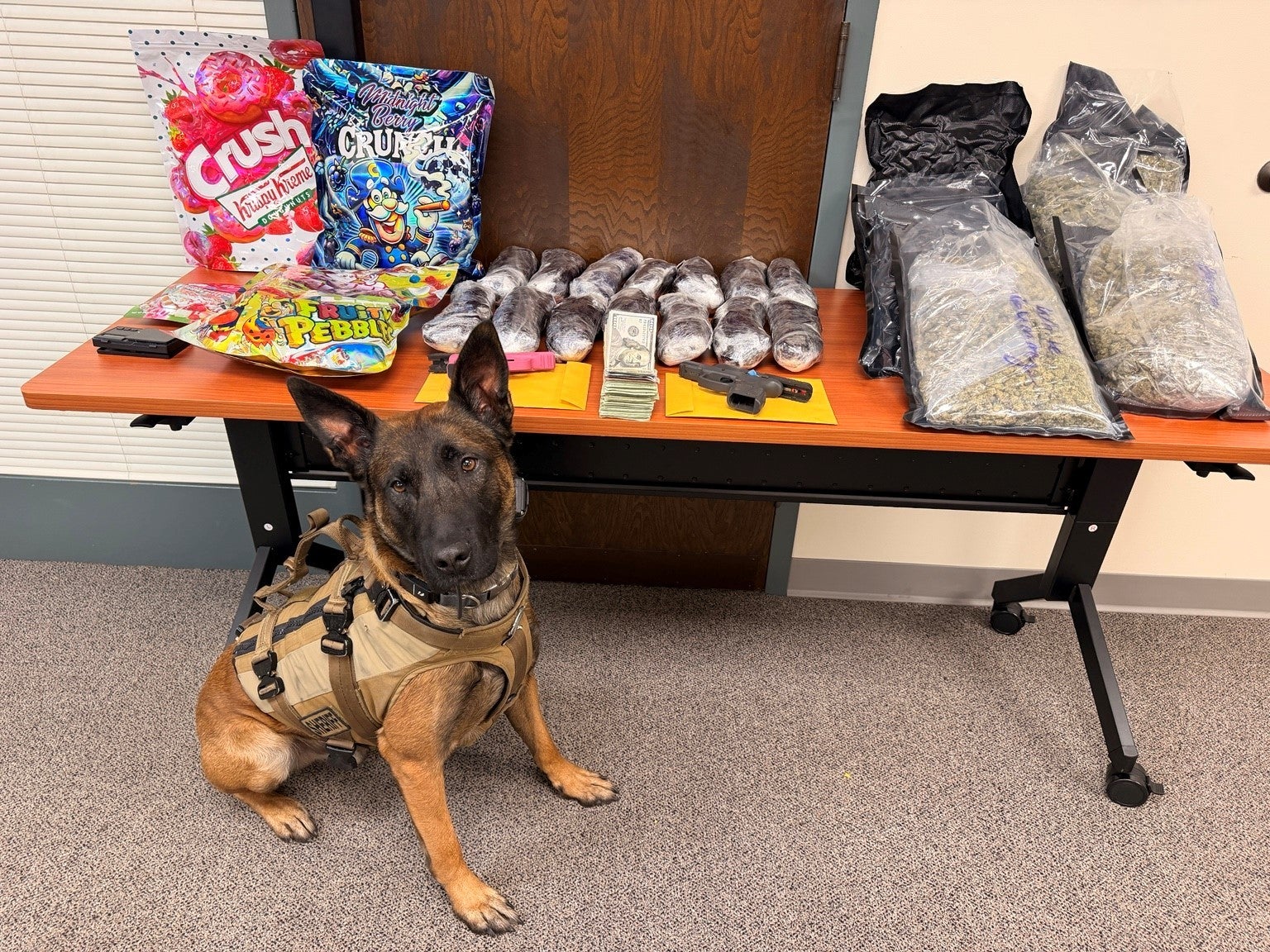 15 pounds of methamphetamine seized at Kokomo drug raid