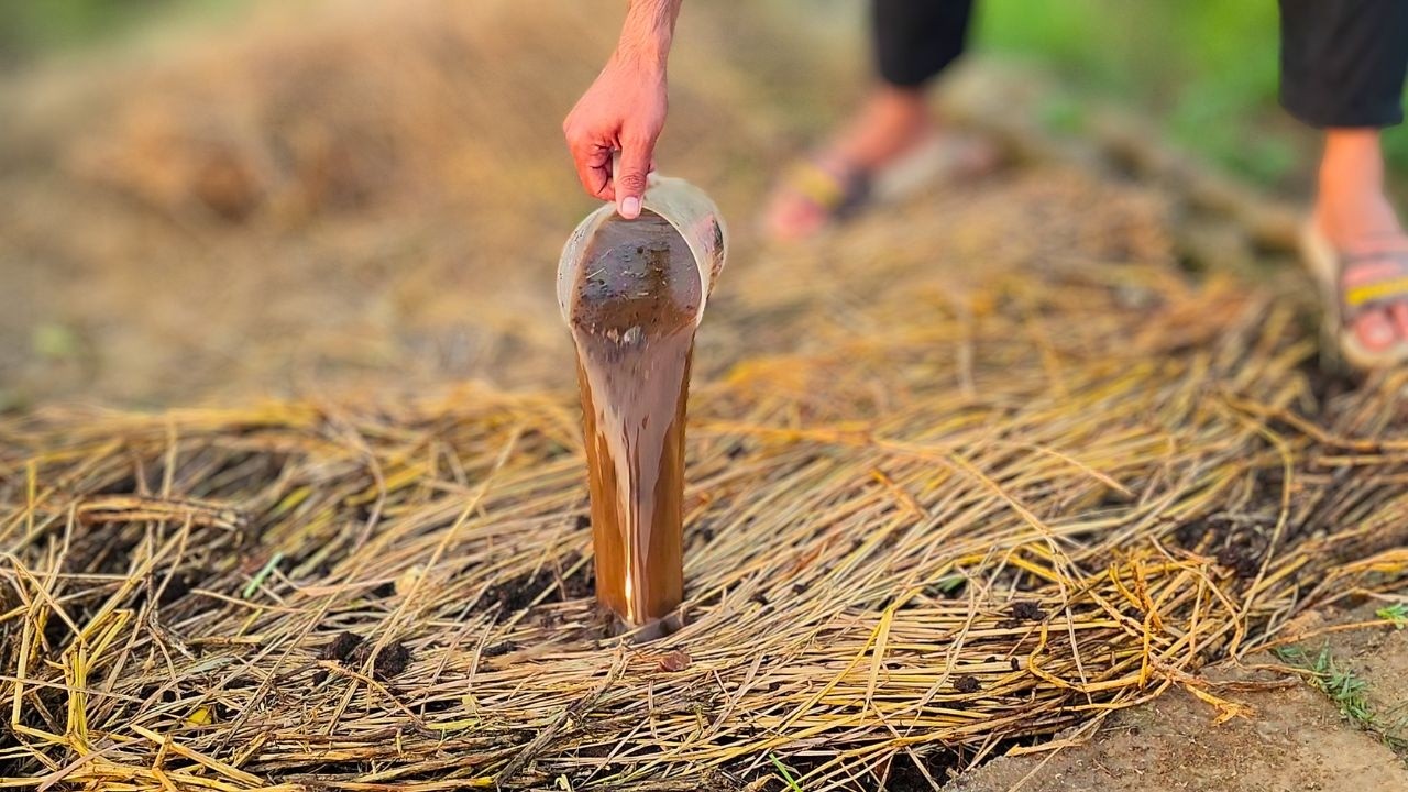 How homemade composting liquid may help break down garden waste