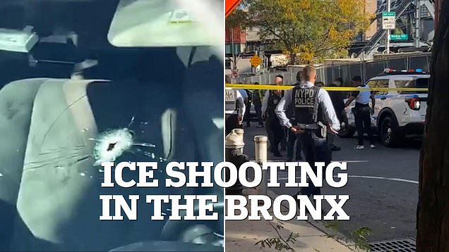 Outrage in the Bronx after ICE agents shoot car with child inside