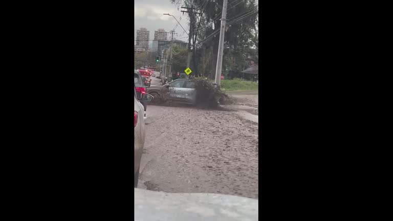 Santiago flooding leaves fallen trees and poles in Chile's capital
