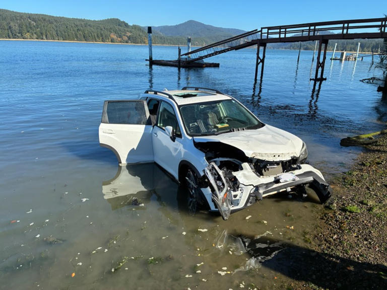 Elderly man rescued from sinking car in Newport