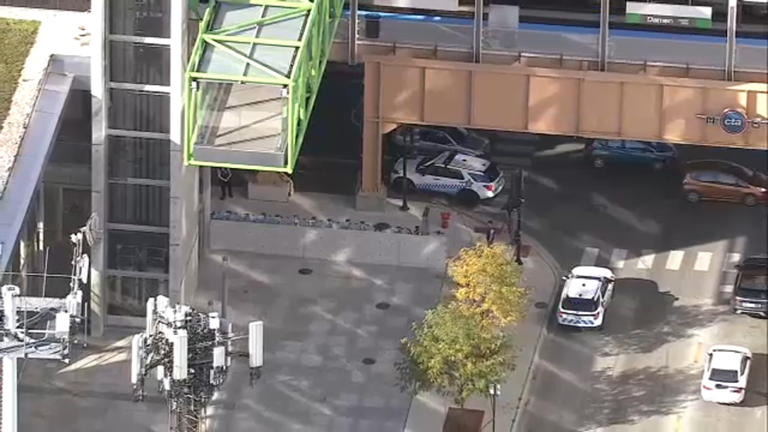 CTA janitor fatally stabbed at Green Line train station on Near West ...