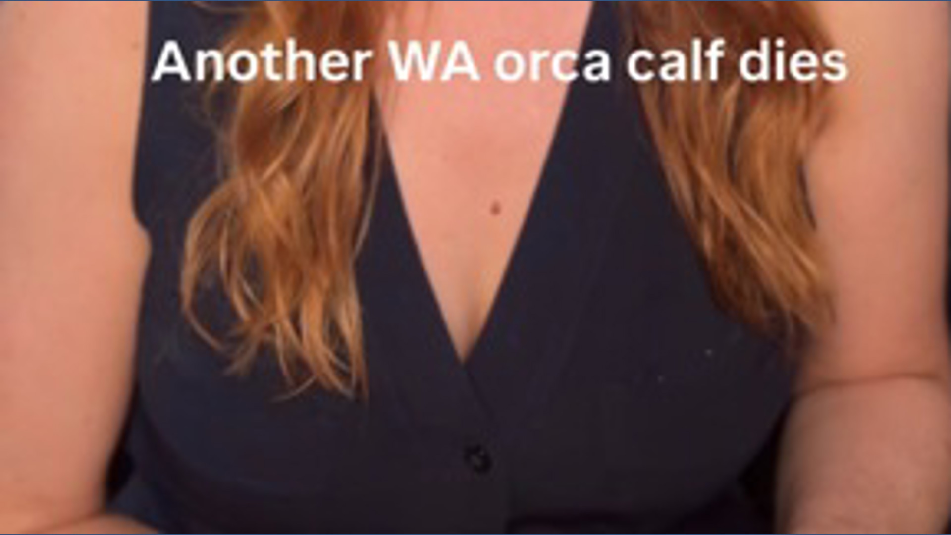 Endangered Southern Resident killer whale calf dies