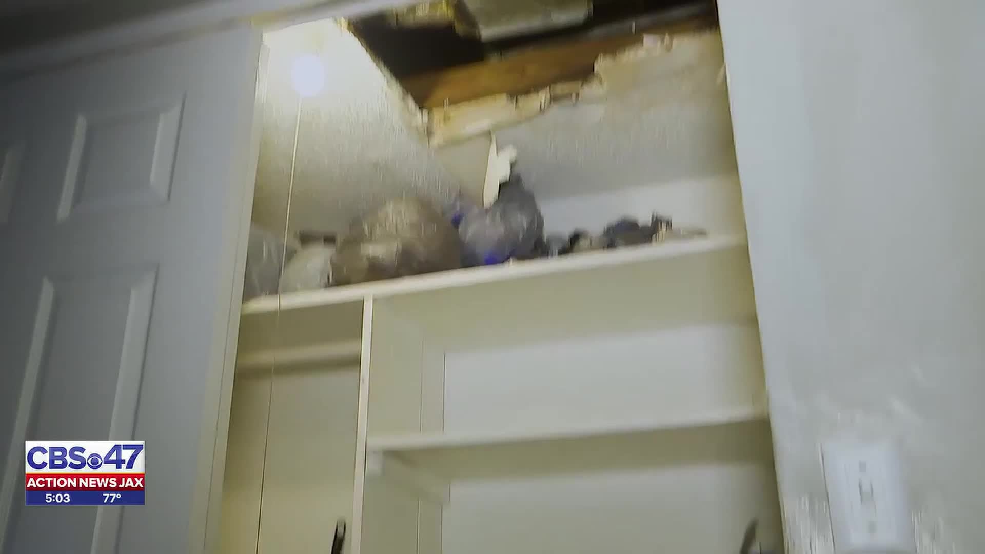‘My dining room is a mini pool’: Jacksonville tenant battles flooding ...