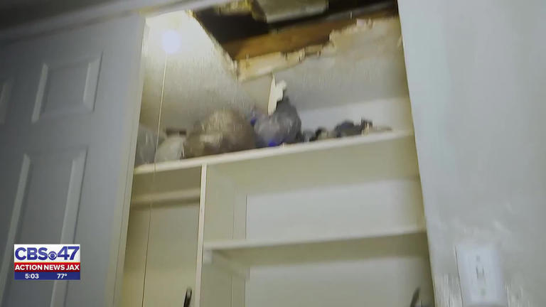 ‘My dining room is a mini pool’: Jacksonville tenant battles flooding ...