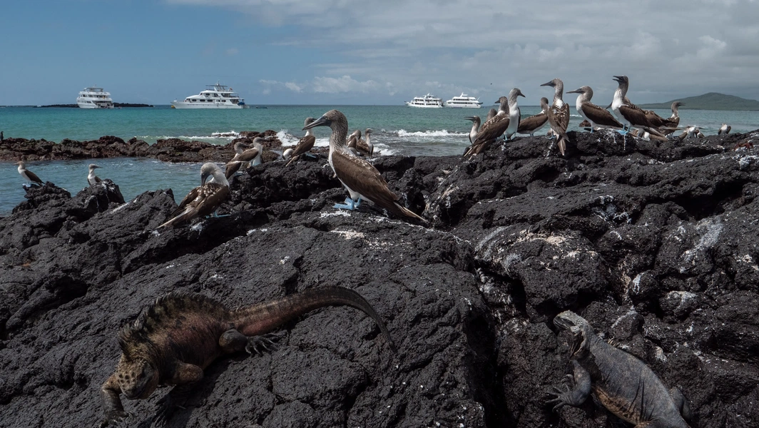 Galápagos wildlife encounters and snorkeling sites