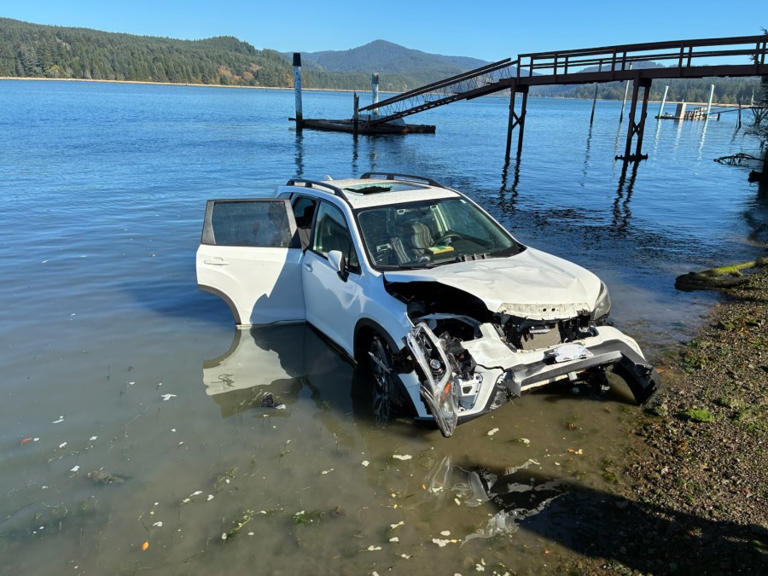 Elderly man rescued from sinking car in Newport
