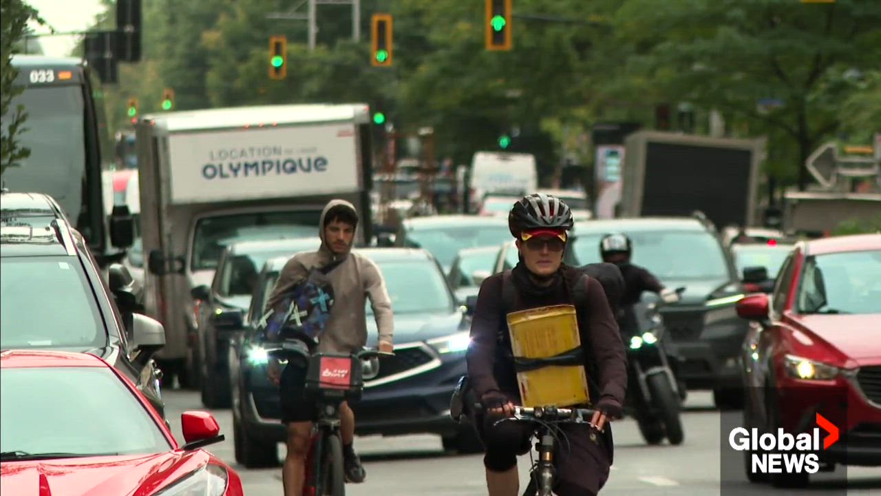 Quebec drivers urged to stay alert as fall sees rise in fatal road ...