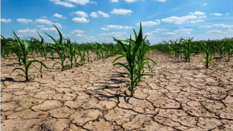 India's 2026 monsoon deficit looks moderate, yet 70.6% of the country ...