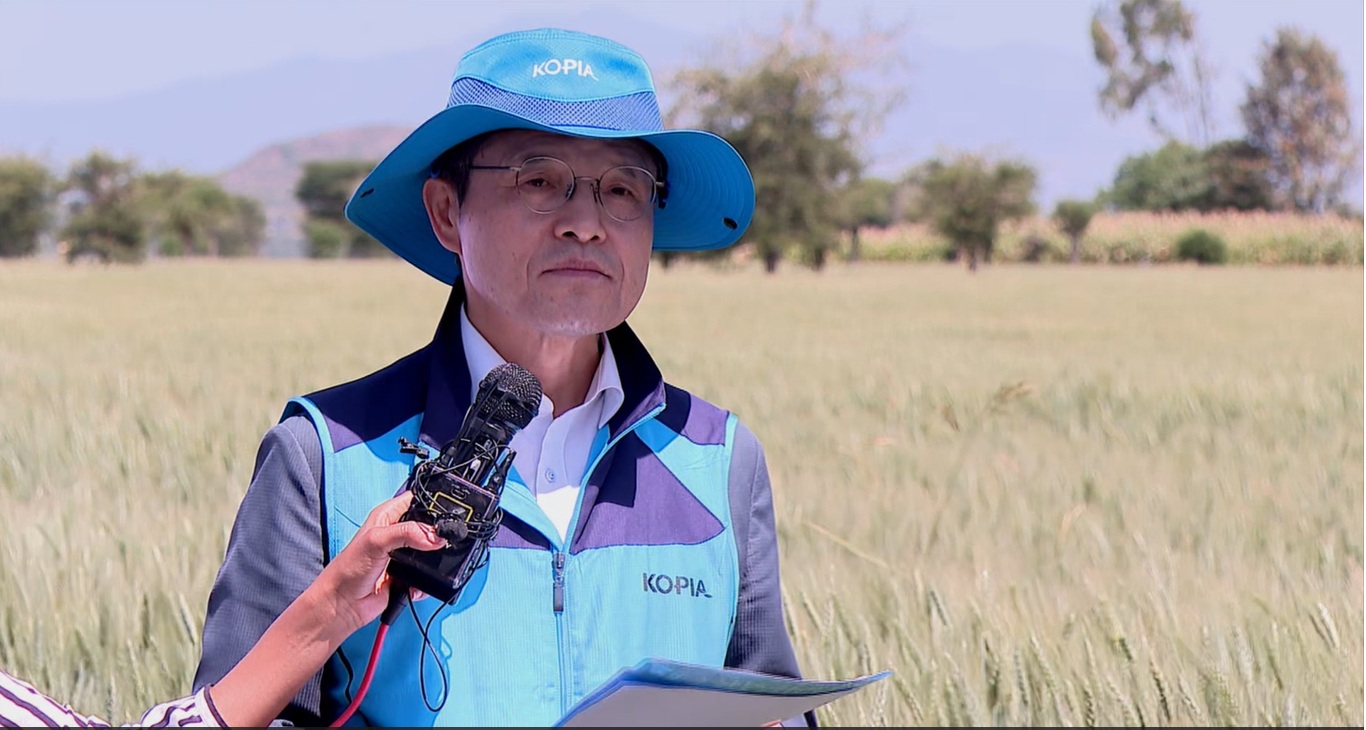 Soil health restoring efforts improving crop productivity: Director