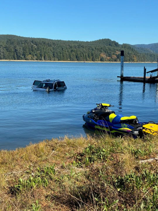 Elderly man rescued from sinking car in Newport