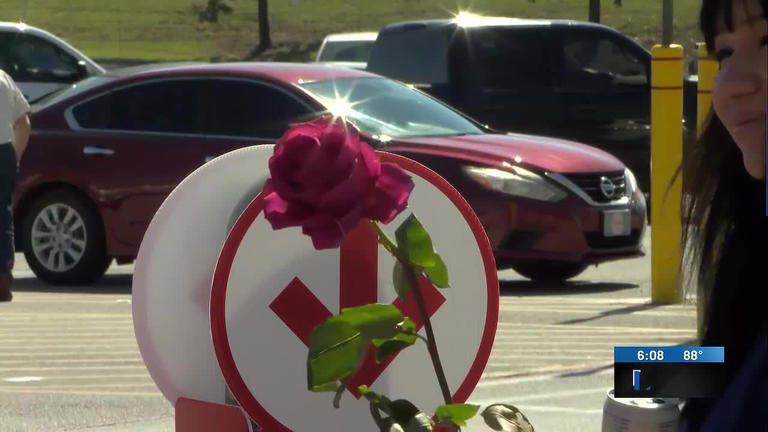 Volunteers hand out roses to raise awareness about domestic violence