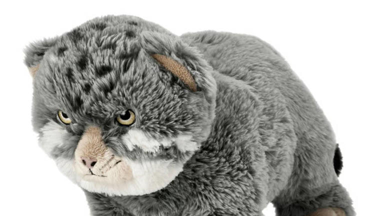 The $13 Pallas’s cat plush at IKEA is the grumpy toy every cat lover needs
