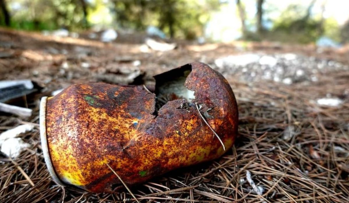 Dos excursionistas cogen una lata en el bosque y llega la gran sorpresa ...