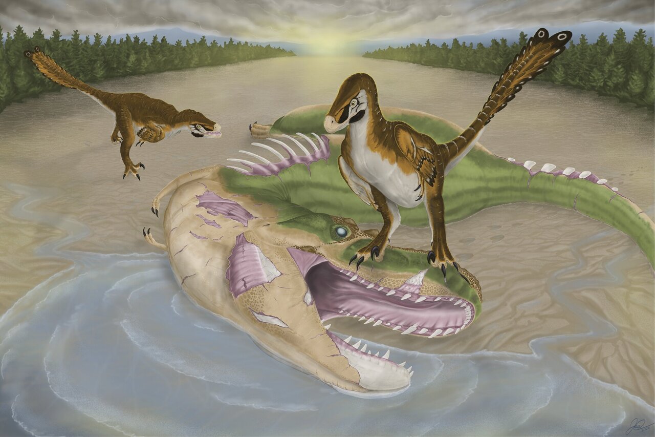 Fossil bite marks suggest first evidence of a small raptor feeding on ...